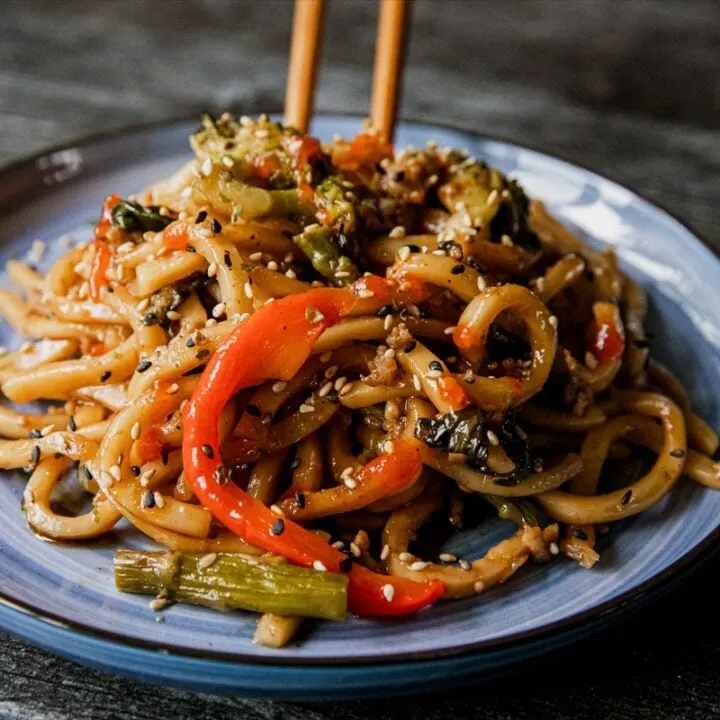 Blackstone Stir Fry Udon with Pork